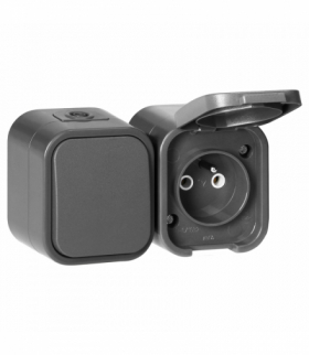 Łącznik natynkowy jednobiegunowy + gniazdo natynkowe pojedyncze 2P+Z Orno OR‑OE‑7807/G, IP54, B2, szary