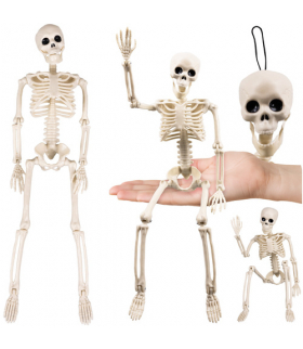 Szkielet, kościotrup na Halloween, wiszący, dekoracja, ruchomy, kości do zawieszenia, 40cm, Ruhhy 26027 18446
