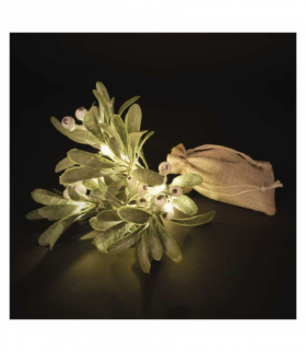 Dekoracje - gałązka jemioła , 2x AA, ciepła biel, IP20, timer EMOS DCTW29