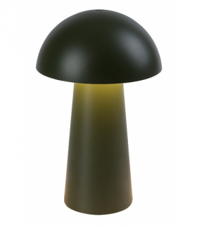 Lampka dekoracyjna, stołowa, ładowalna USB-C, Mireo LED 1,5W 3000K Rabalux 76038