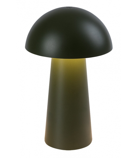 Lampka dekoracyjna, stołowa, ładowalna USB-C, Mireo LED 1,5W 3000K Rabalux 76038