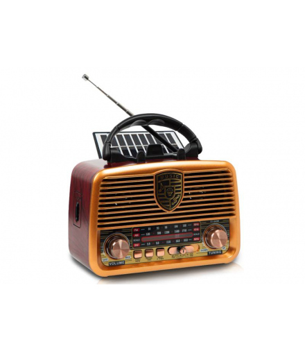 Radio przenośne RX-BT11110S z panelam solarnym, FM, Bluetooth, USB, SD akumulator 18650 LXRXBT1110SG
