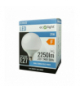 GLOBE E27 25W 6500K 2250lm Eco Light EC20423