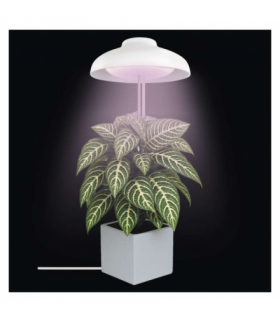 Lampa LED GROW do uprawy roślin 5W, timer, biała EMOS Z7901