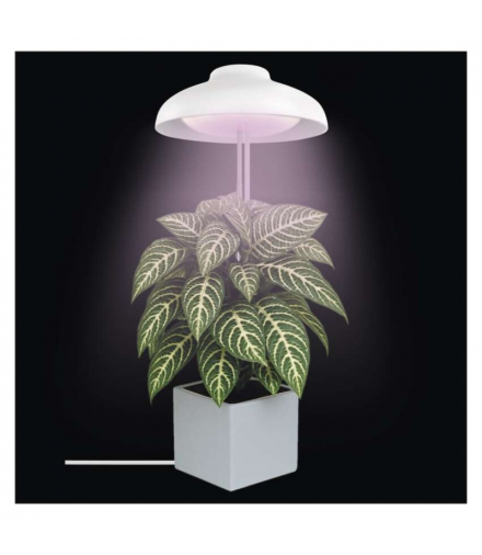 Lampa LED GROW do uprawy roślin 5W, timer, biała EMOS Z7901