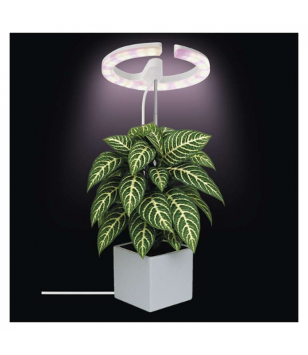 Lampa LED GROW do uprawy roślin 8W, timer, ściemnialna, biała EMOS Z7902