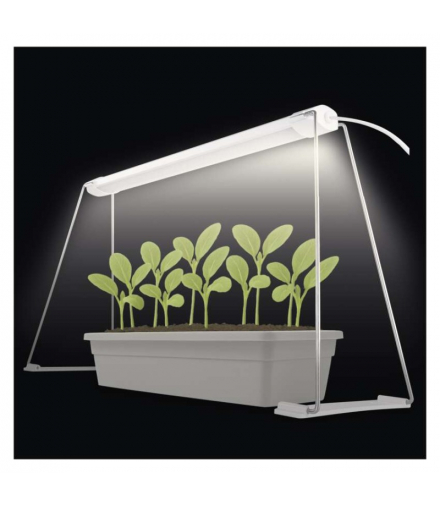Lampa LED GROW do uprawy roślin - sadzonki 15W, timer, biała EMOS Z7903