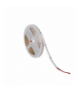 Taśma LED LCOB 24VDC, 10.5W/m, 900lm/m, IP65, G zielony, 5m, Kanlux 39783